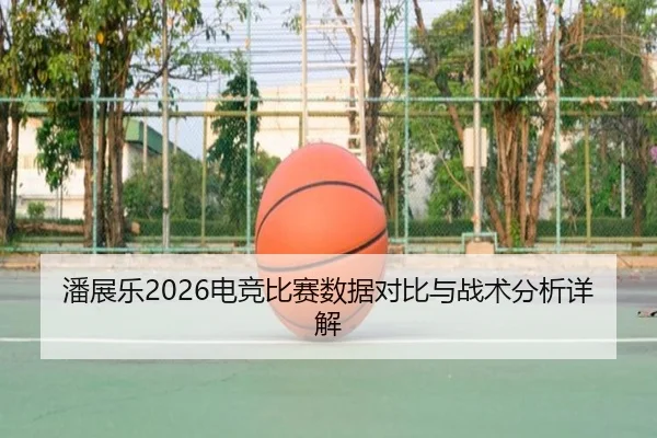 pan-zhan-le-dian-jing-bi-sai-shu-ju-dui-bi-yu-zhan-shu-fen-xi-xiang-jie-2-301.jpg
